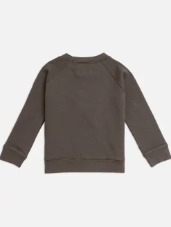 Mini Organic Terry Raglan Sweatshirt