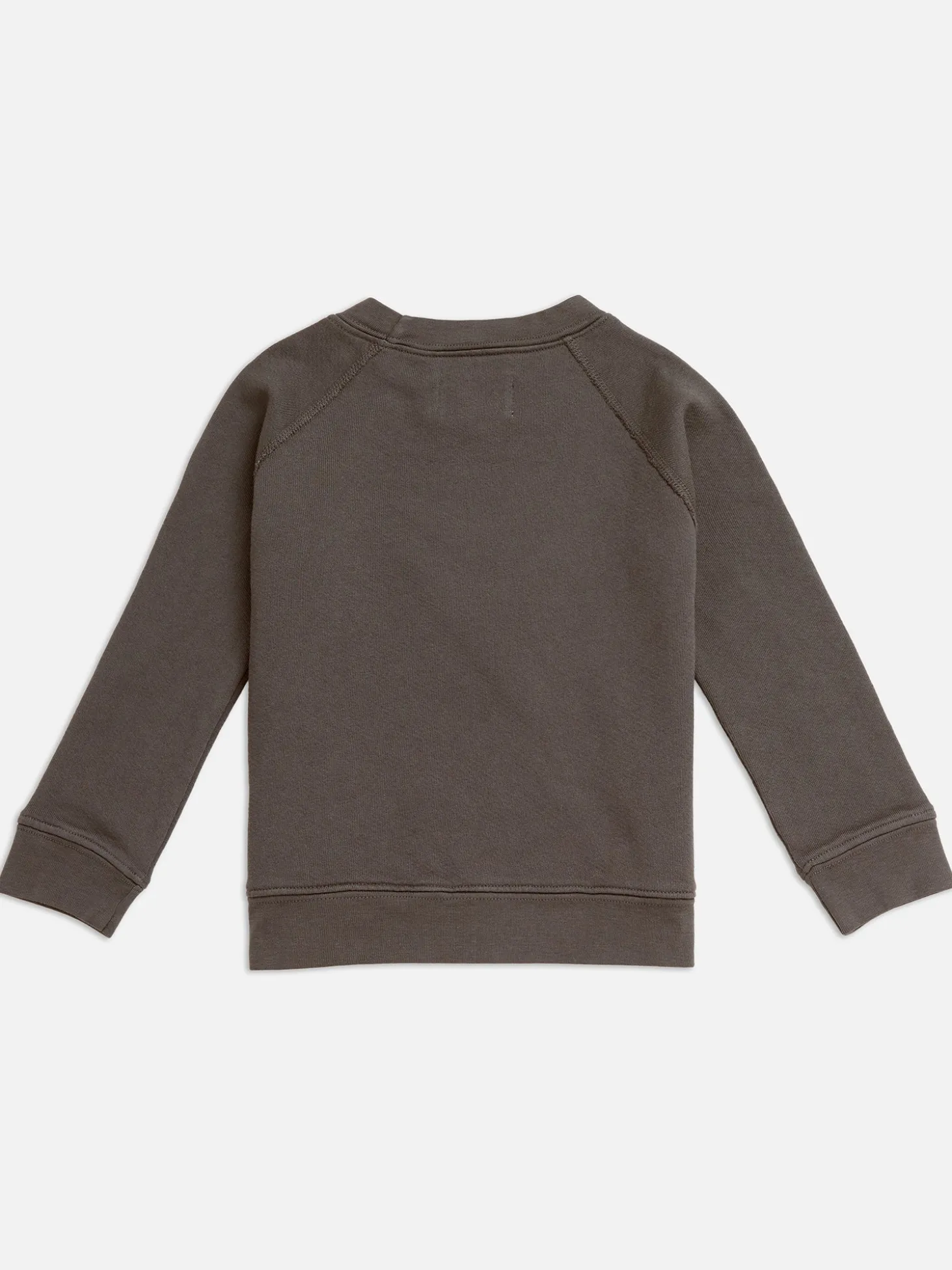 Mini Organic Terry Raglan Sweatshirt
