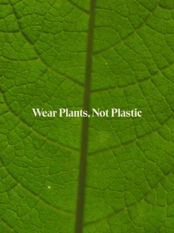 Organic Comfort Crop Tank