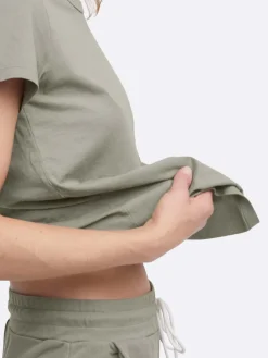 Organic Cotton Classic Tee Bundle