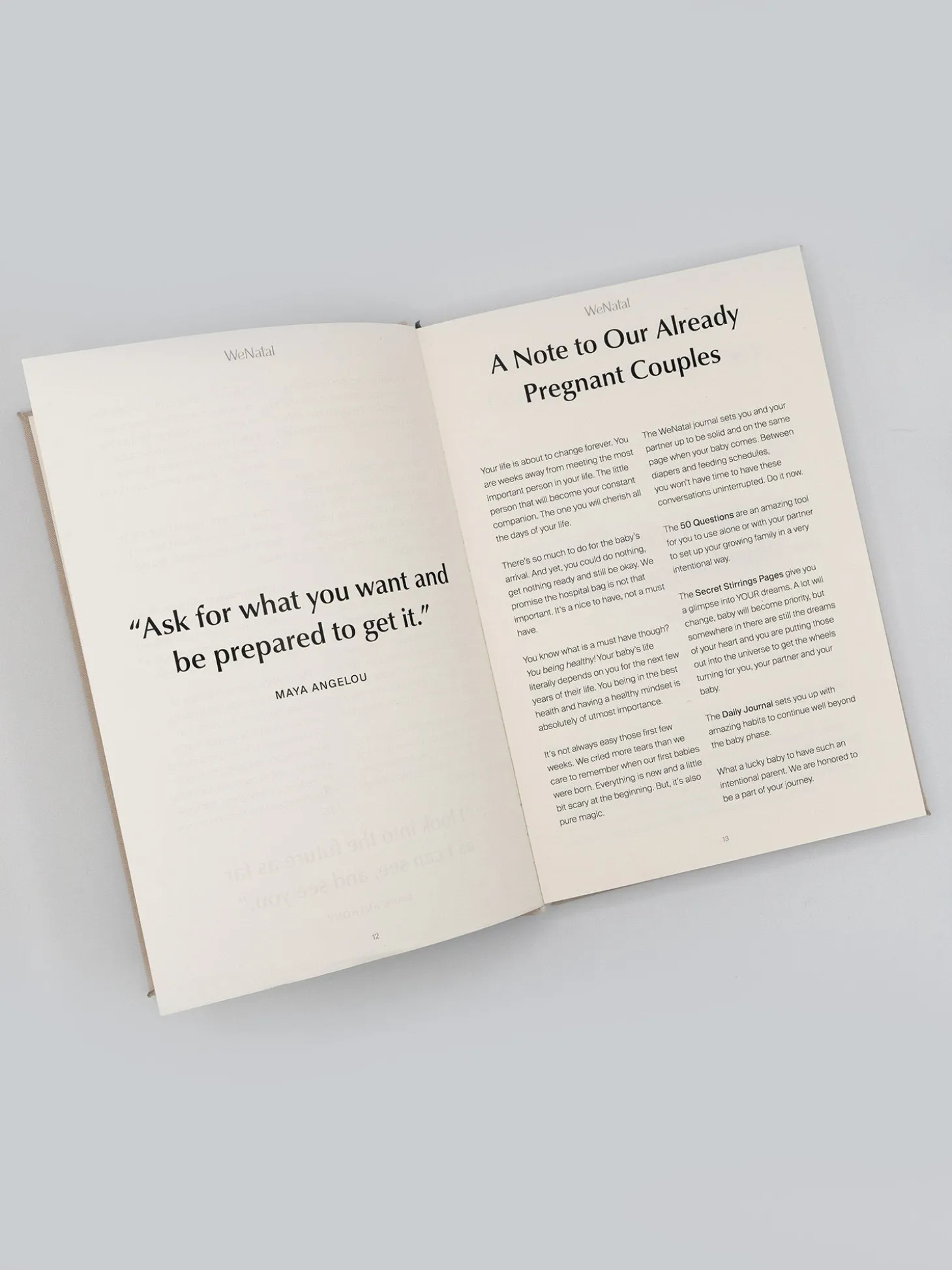 Wenatal Manifestation Journal