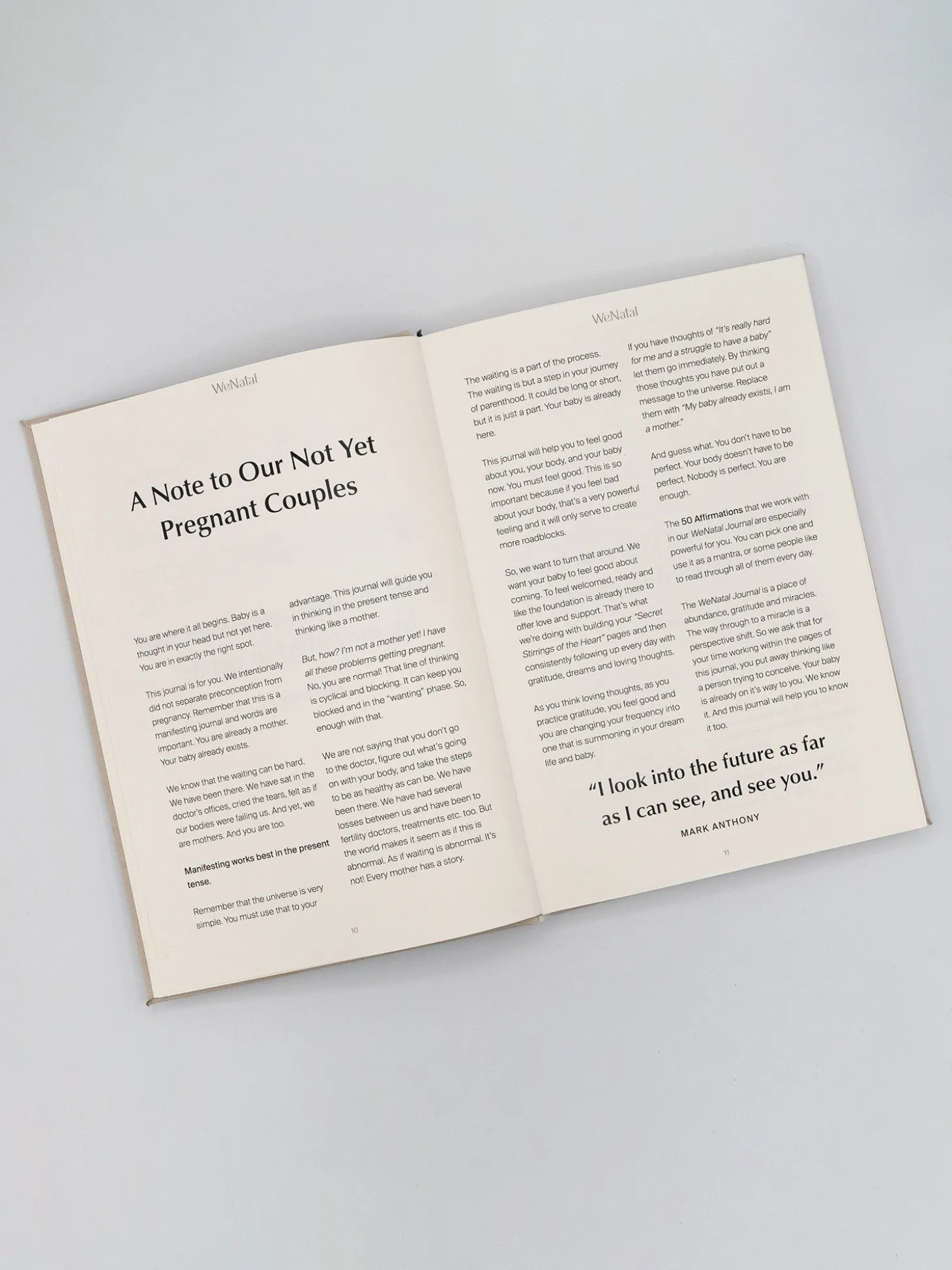 Wenatal Manifestation Journal