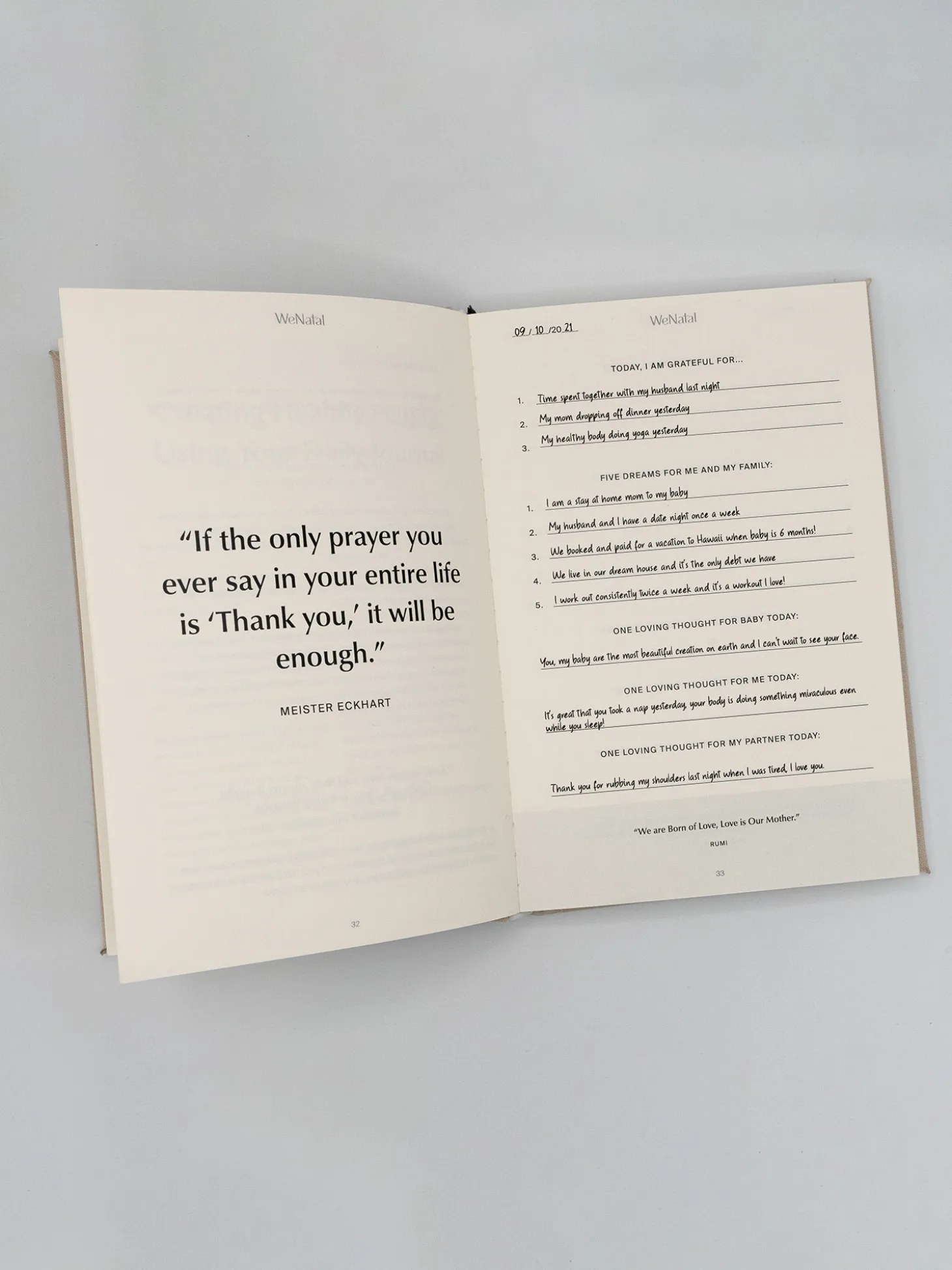 Wenatal Manifestation Journal